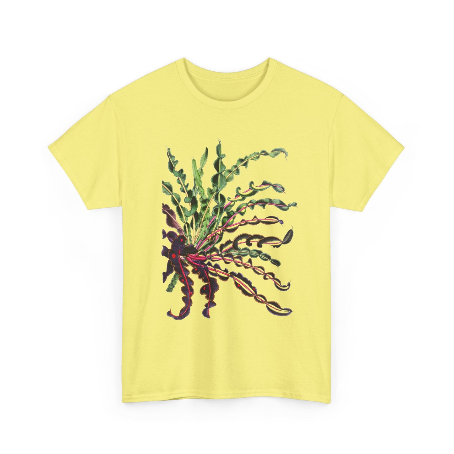 1874 vintage spiral croton codiaeum variegatum var spirale illustration reproduction tshirt