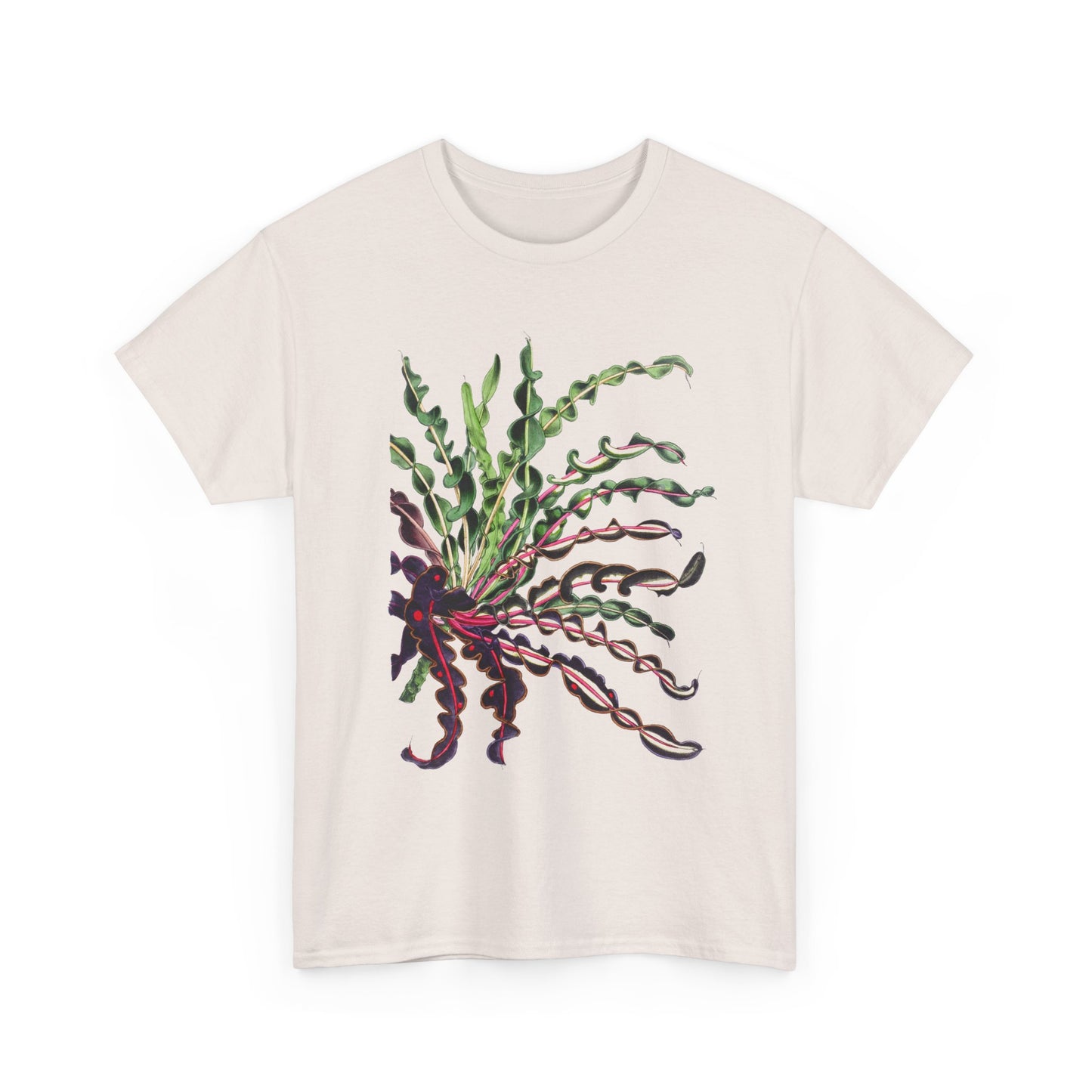 1874 vintage spiral croton codiaeum variegatum var spirale illustration reproduction tshirt