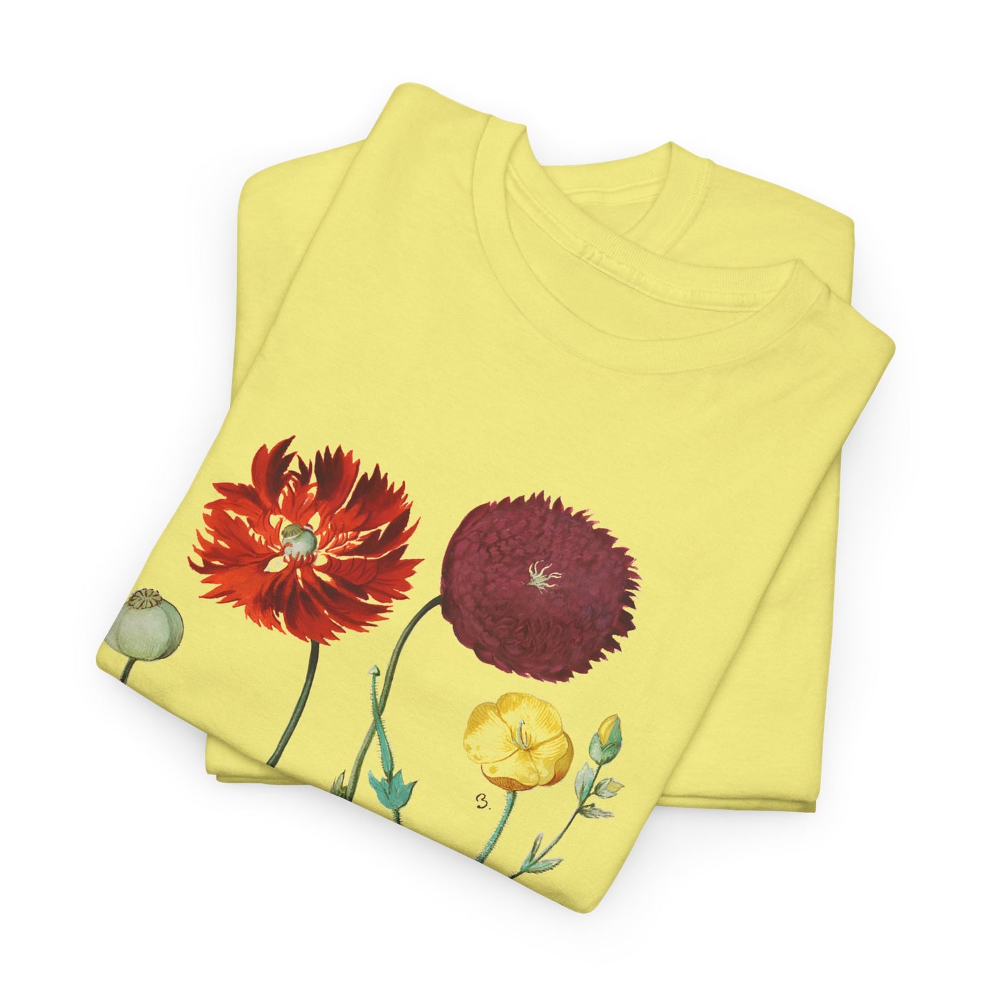1613 vintage poppy lithograph reproduction tshirt