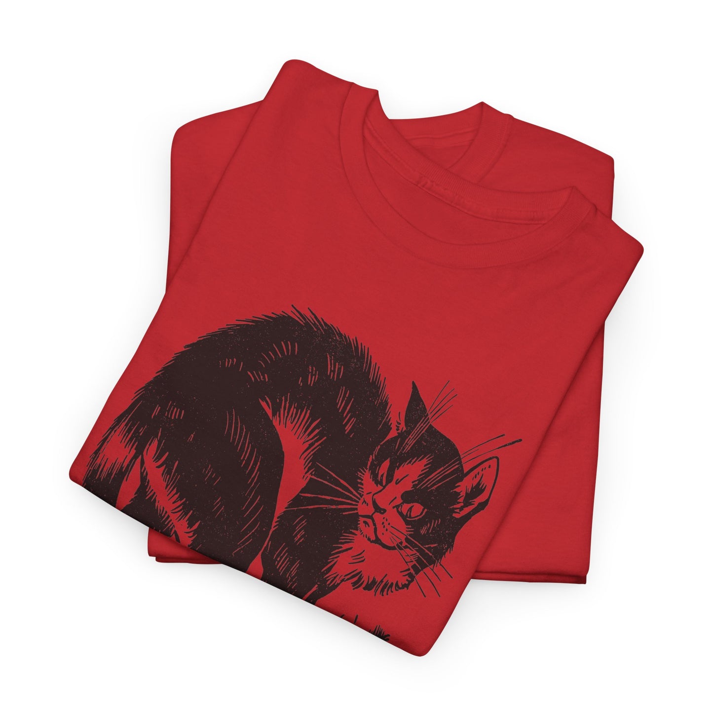 vintage french children's book illustration of angry cat and happy mouse reproduction tshirt