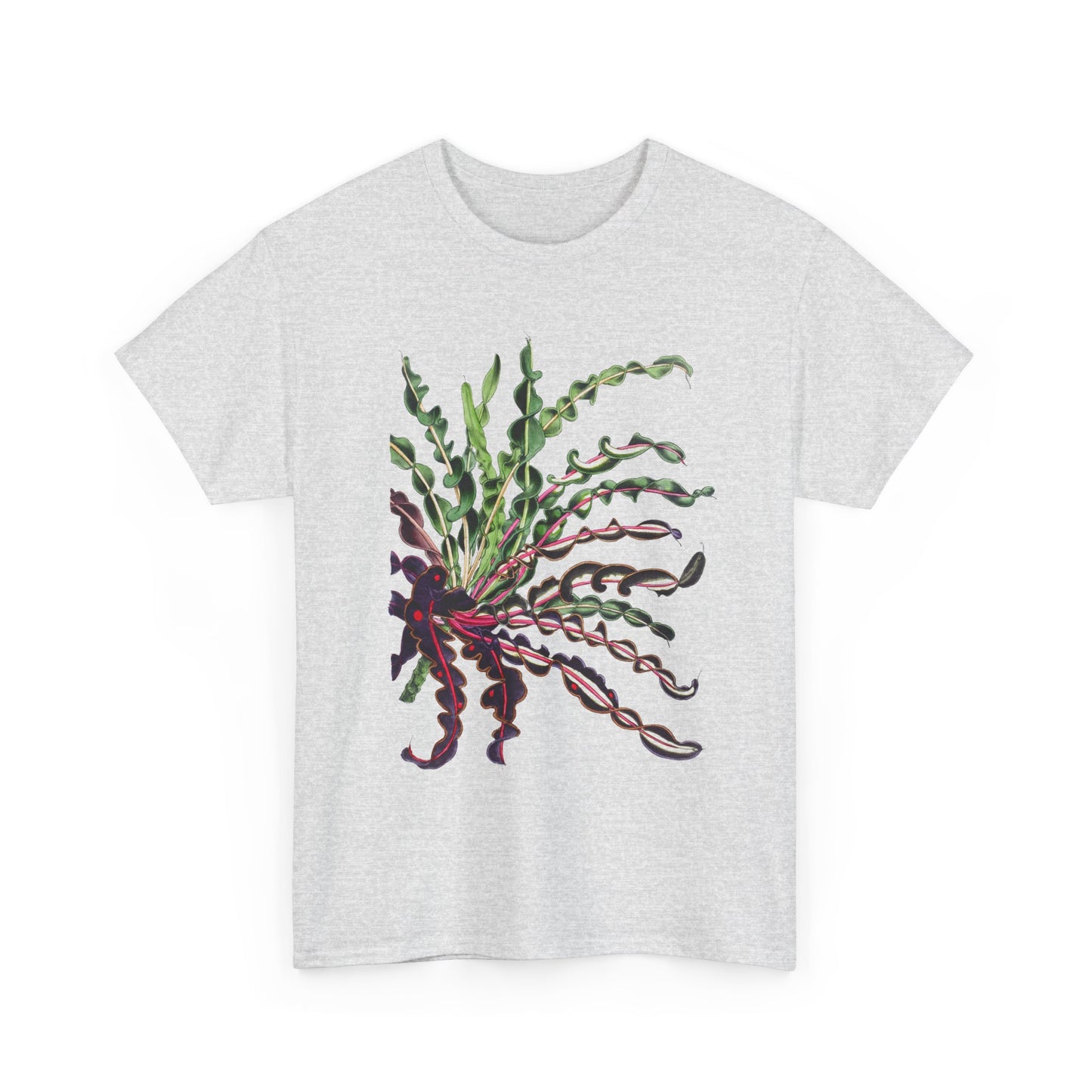 1874 vintage spiral croton codiaeum variegatum var spirale illustration reproduction tshirt