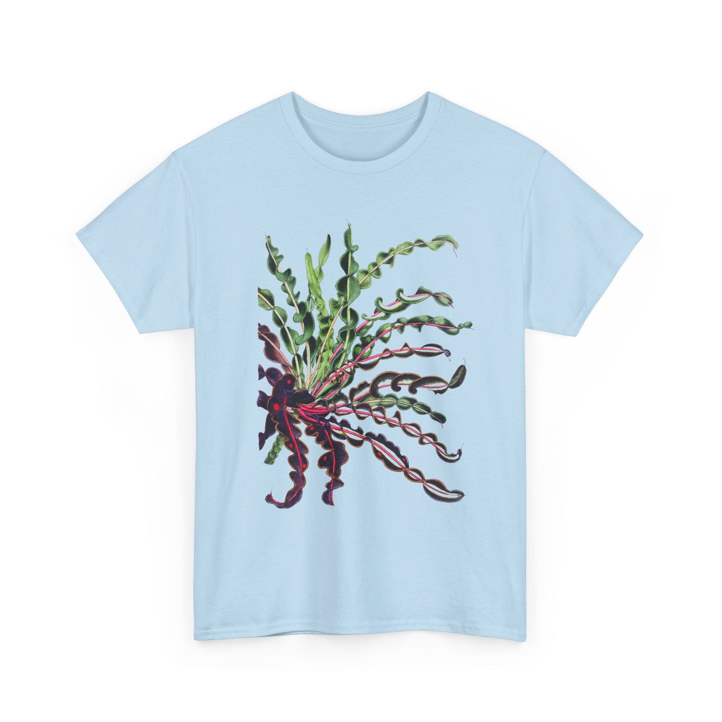 1874 vintage spiral croton codiaeum variegatum var spirale illustration reproduction tshirt