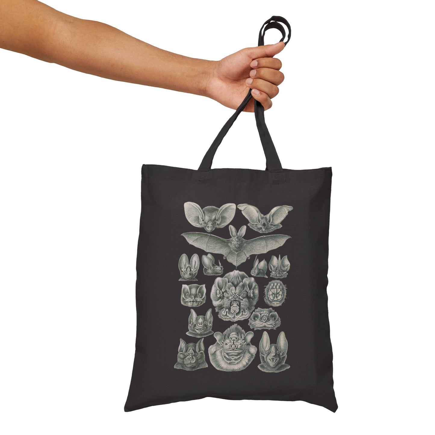 1904 chiroptera (fledertiere) BATS print by adolf giltsch after sketch by ernst haeckel on a cotton canvas tote bag whatmart
