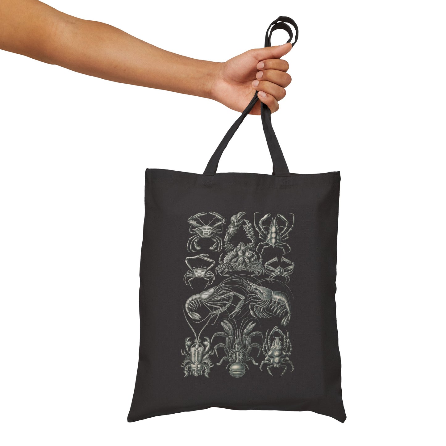 1904 crustacean (decapoda) lithograph by adolf giltsch after sketch by ernst haeckel from "art forms of nature" cotton canvas tote bag whatmart
