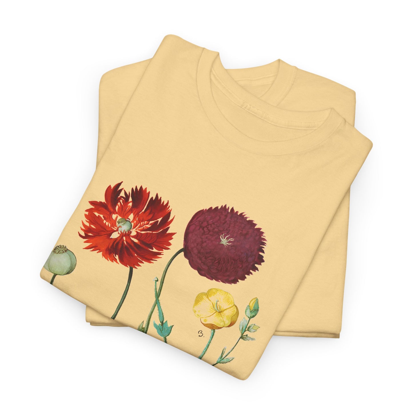 1613 vintage poppy lithograph reproduction tshirt