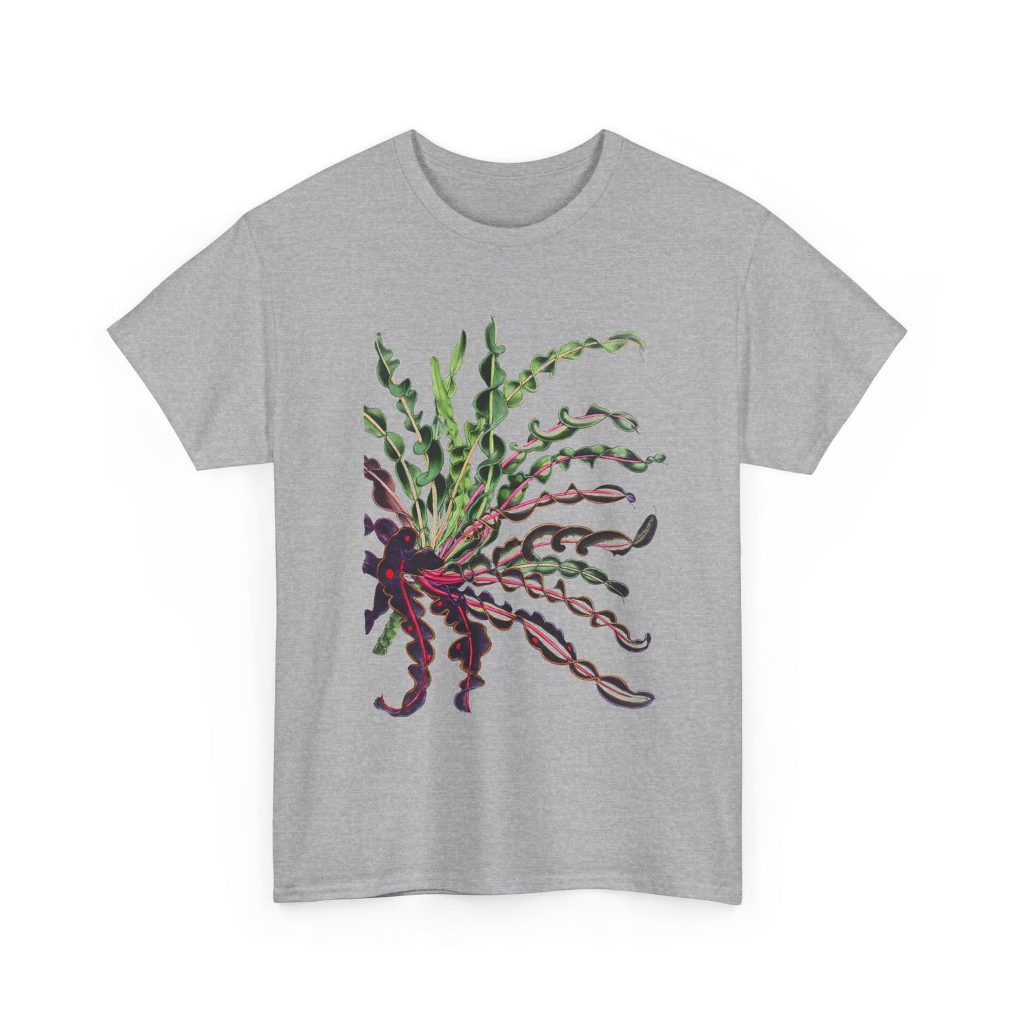 1874 vintage spiral croton codiaeum variegatum var spirale illustration reproduction tshirt