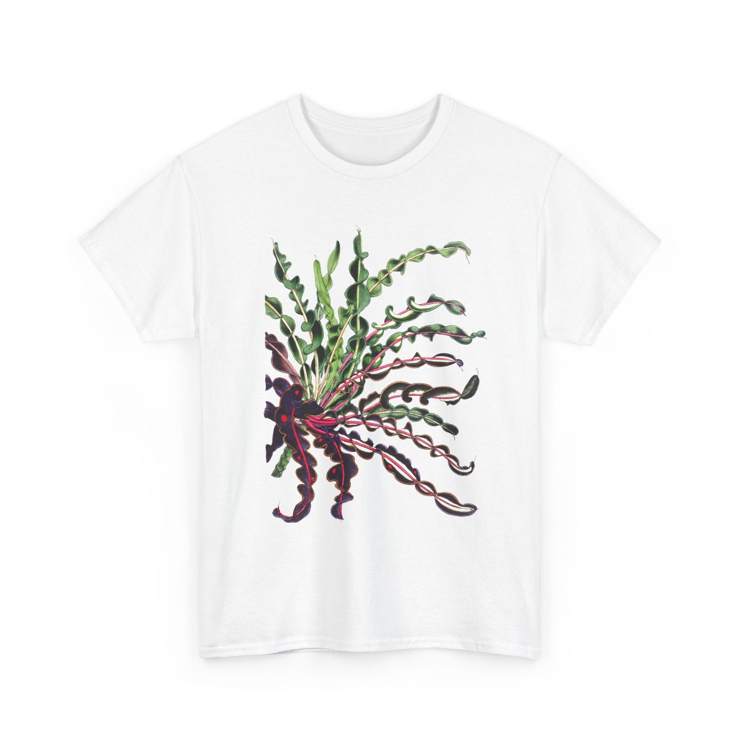 1874 vintage spiral croton codiaeum variegatum var spirale illustration reproduction tshirt