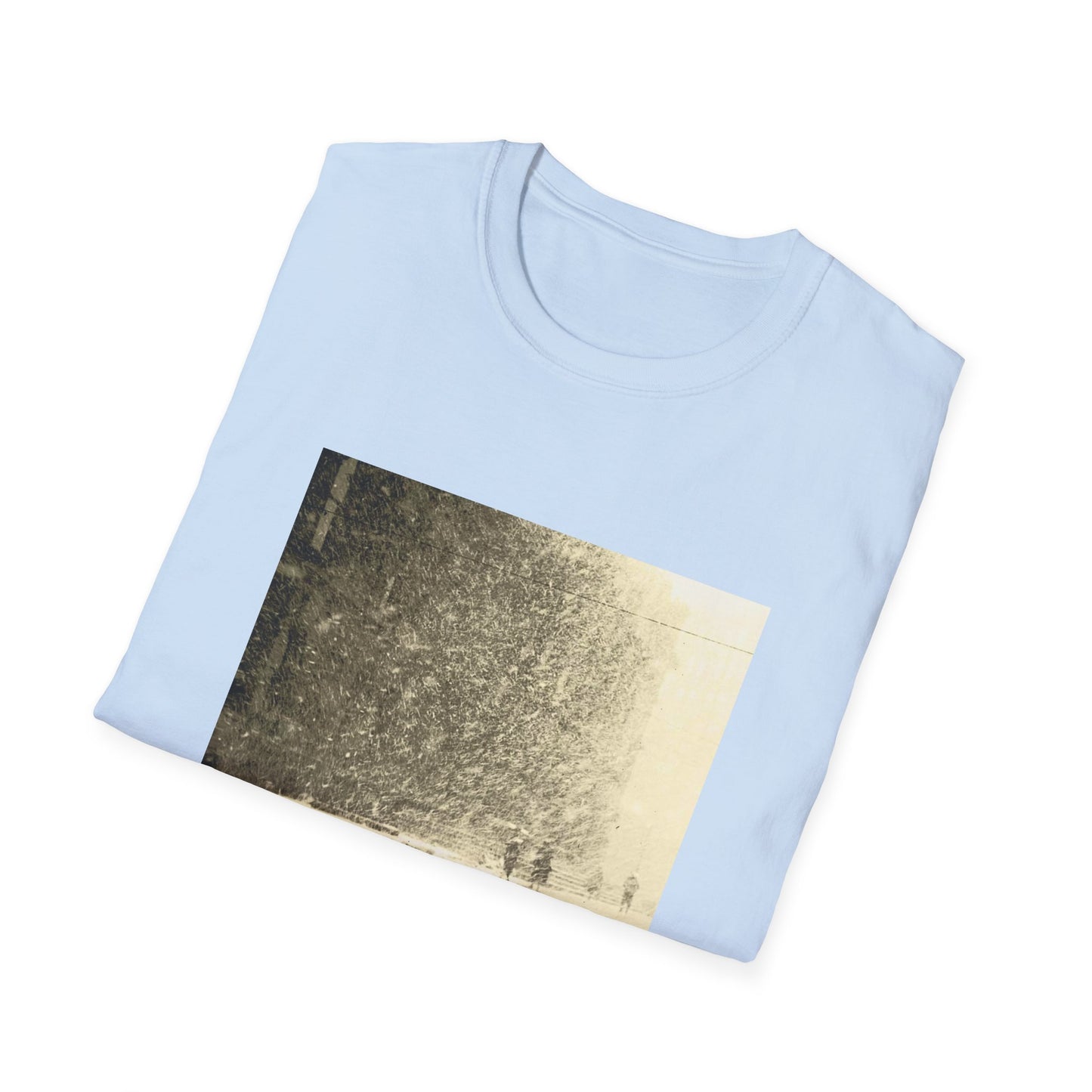 women 2010 public strain album tshirt