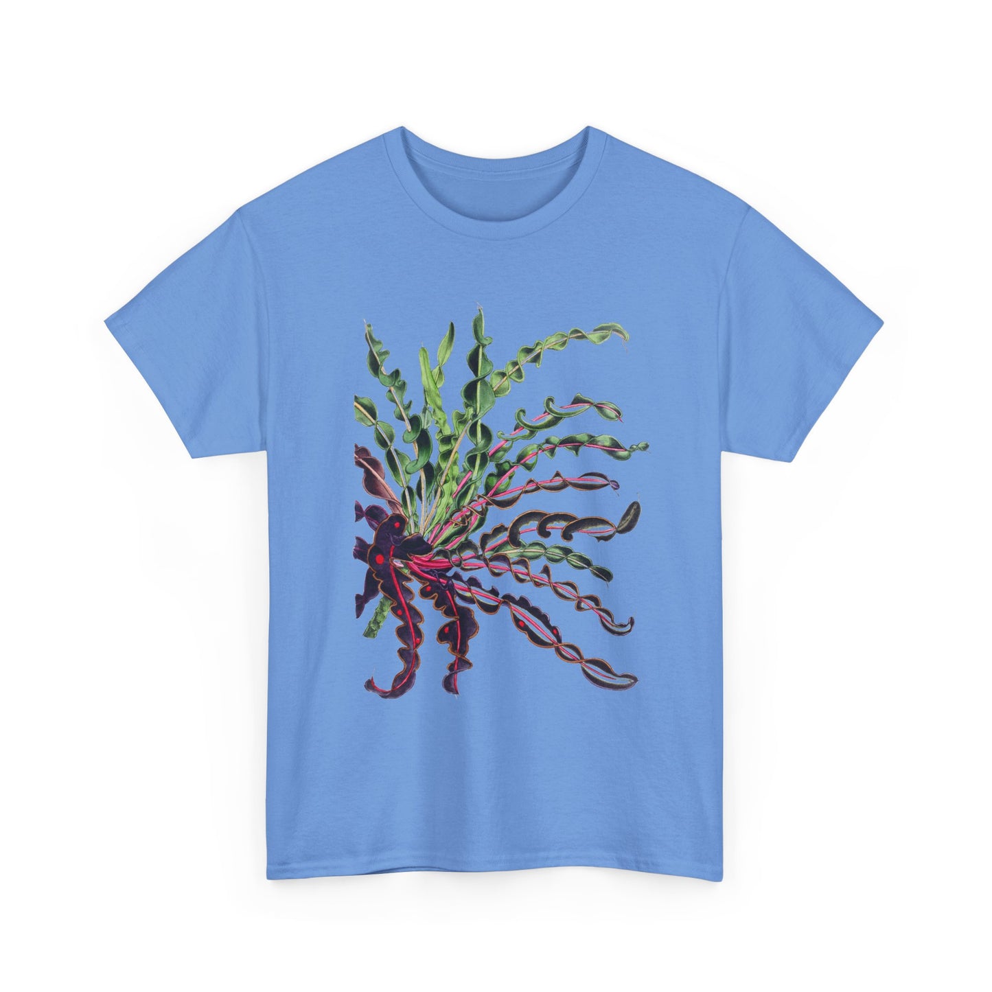 1874 vintage spiral croton codiaeum variegatum var spirale illustration reproduction tshirt
