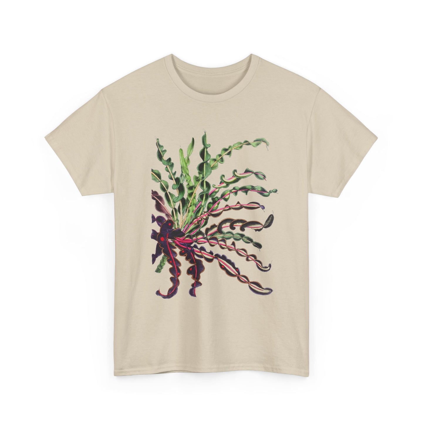 1874 vintage spiral croton codiaeum variegatum var spirale illustration reproduction tshirt