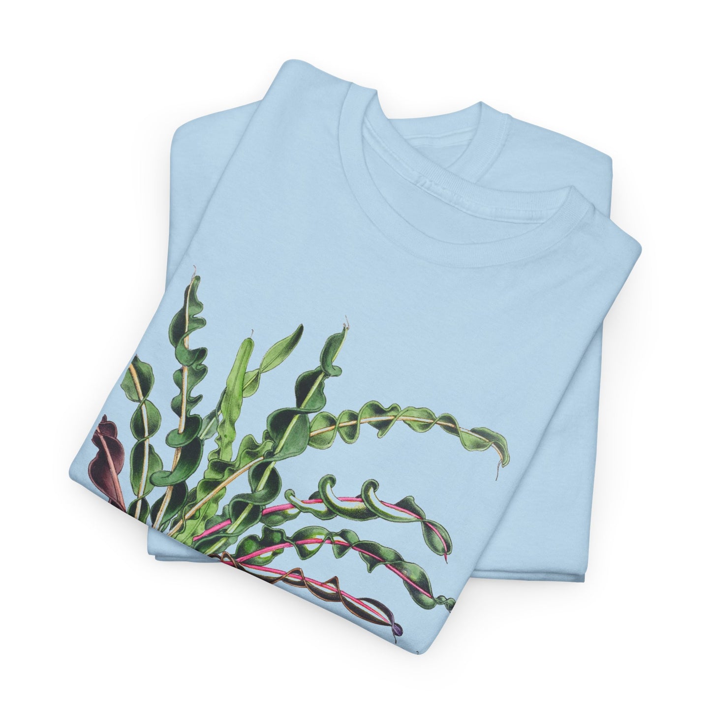 1874 vintage spiral croton codiaeum variegatum var spirale illustration reproduction tshirt