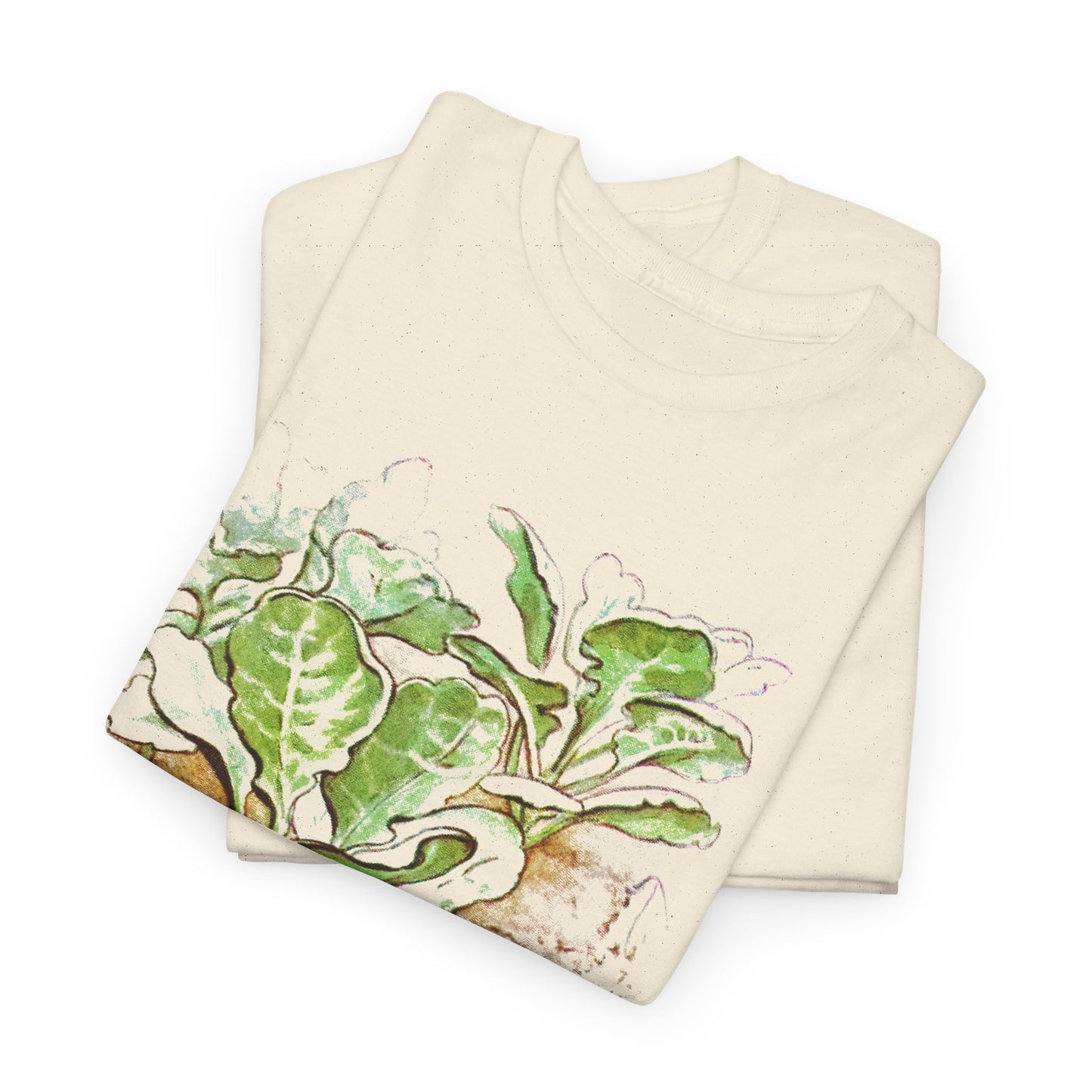 1901 the tale of peter rabbit peters lost shoe in the forest reproduction tshirt