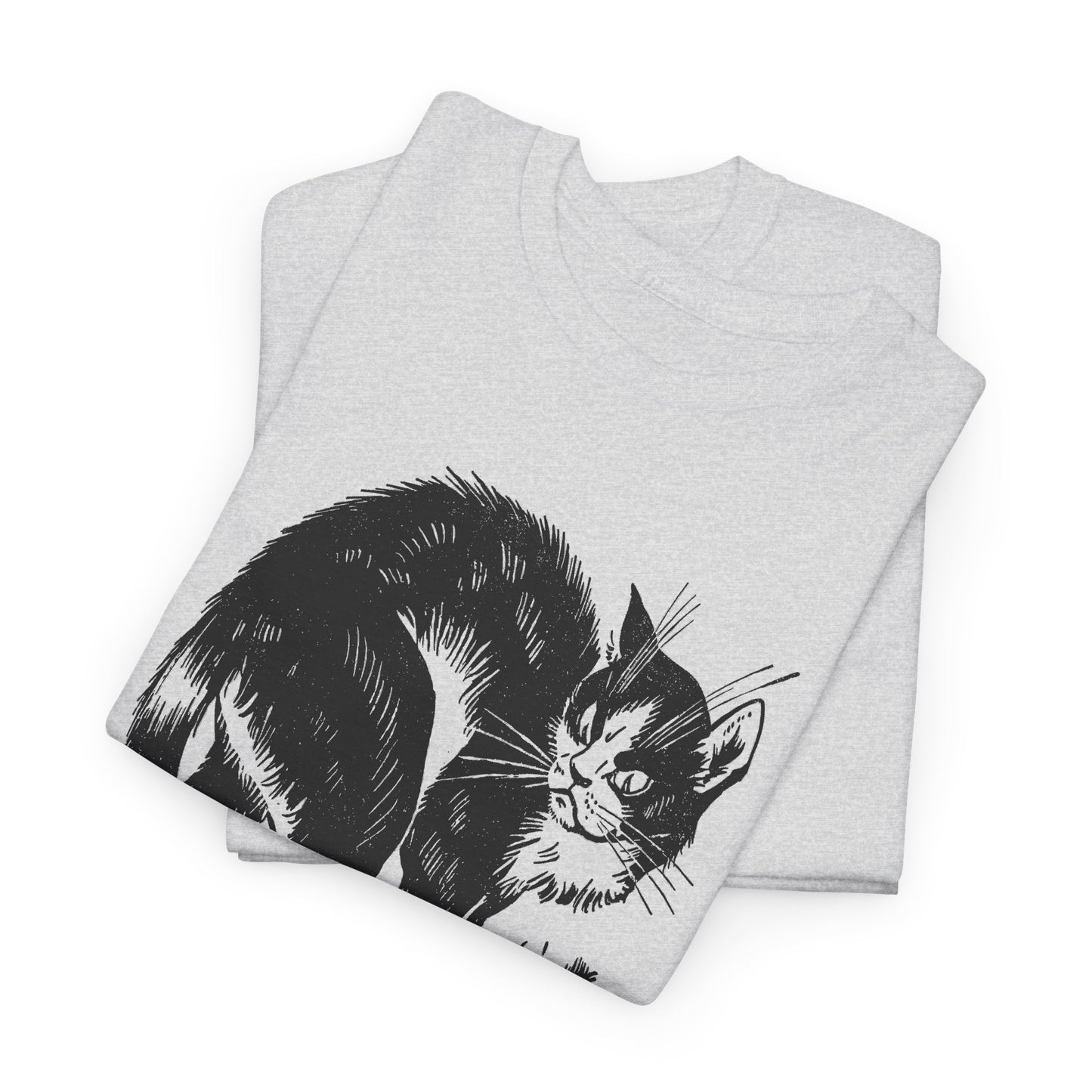 vintage french children's book illustration of angry cat and happy mouse reproduction tshirt