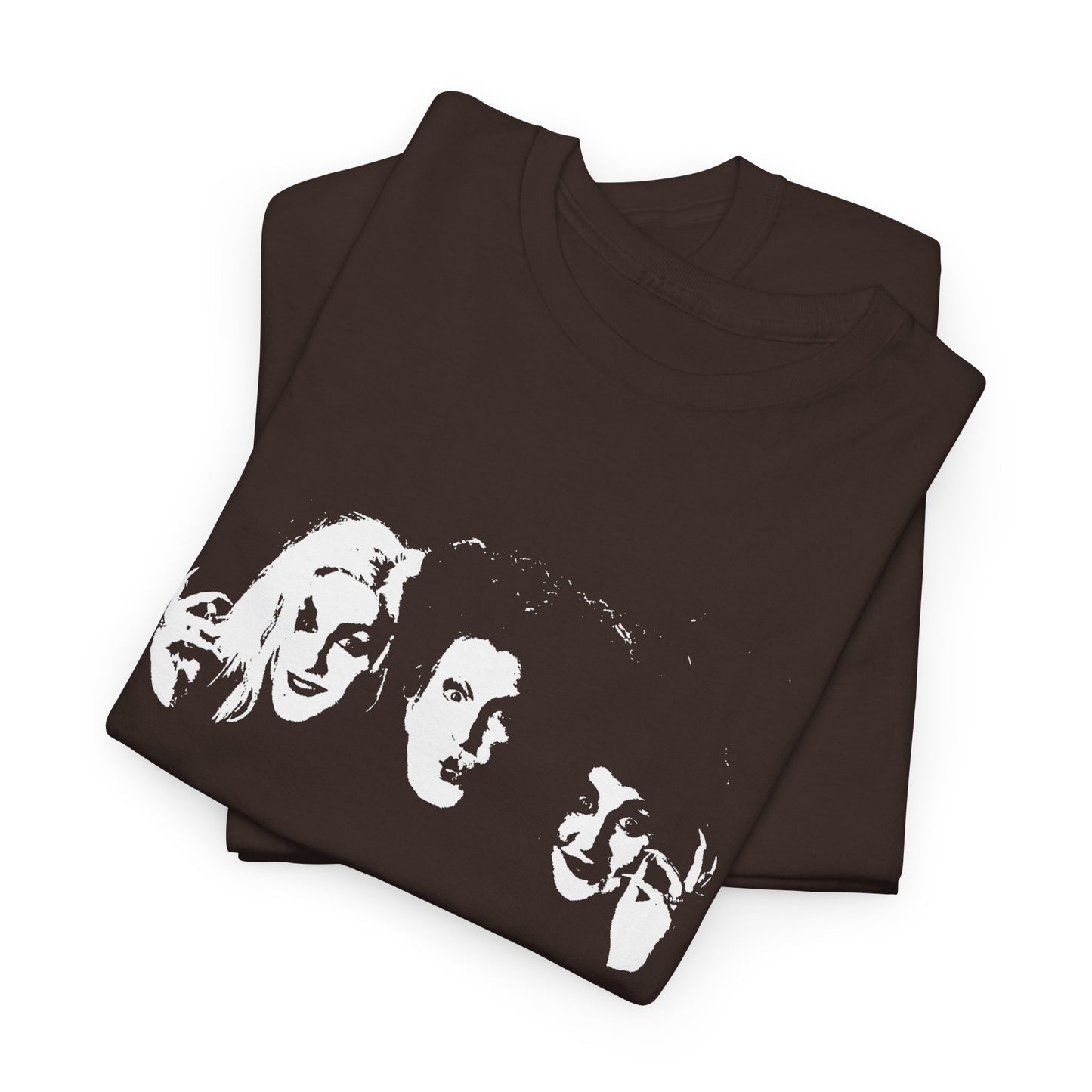 the sanderson sisters stencil style fan art tshirt