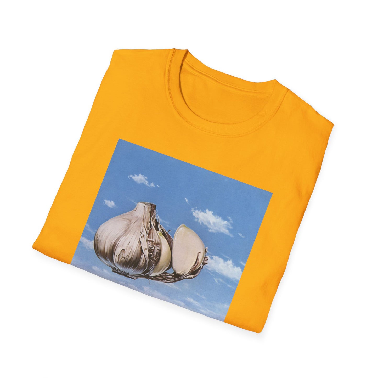 early 70s kazuo haba garlic painting tshirt