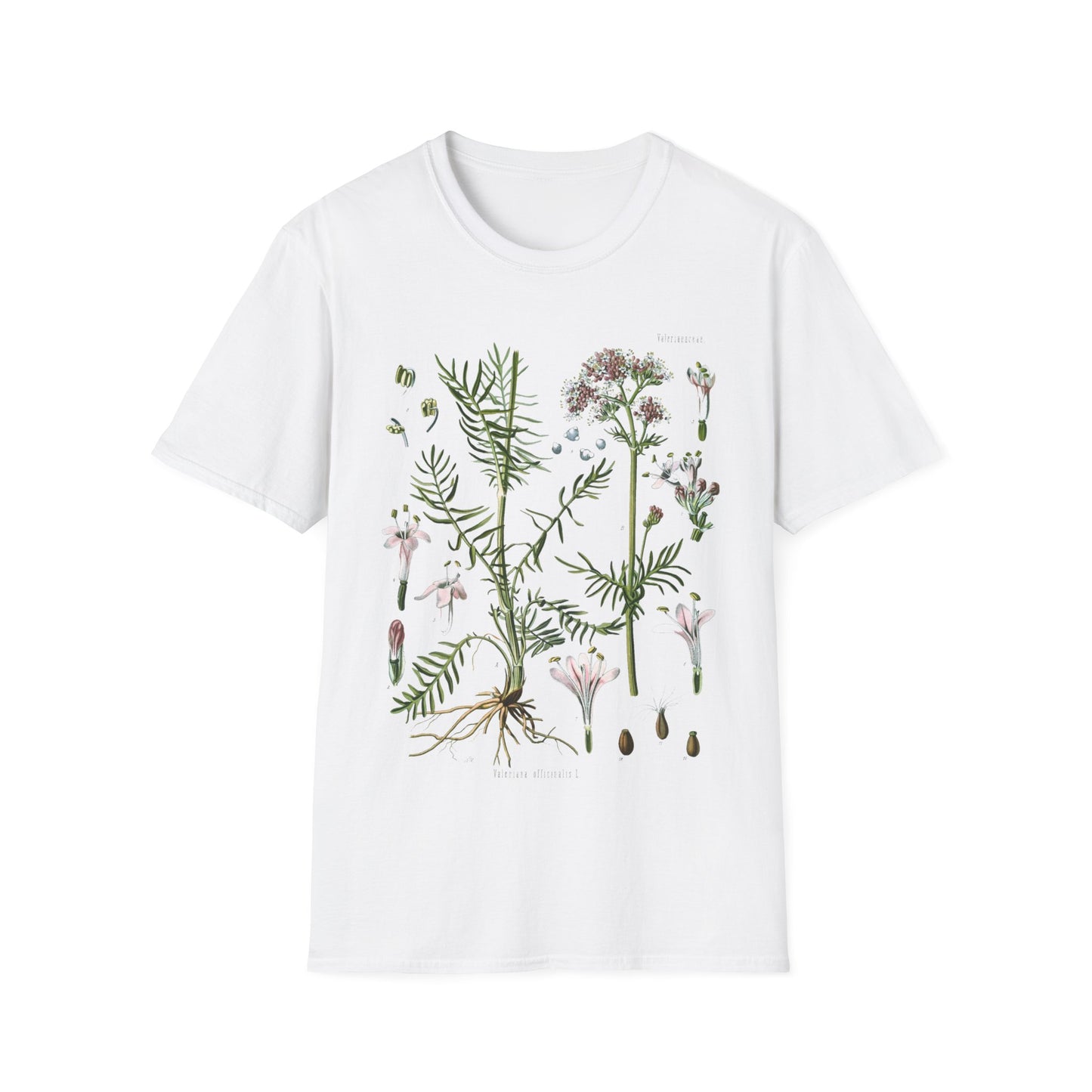 1887 valerian herb valeriana officinalis botanical print from kohler's plants by hermann adolph kohler tshirt