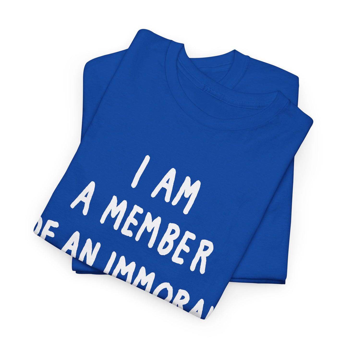 i am a member of an immoral subculture tshirt