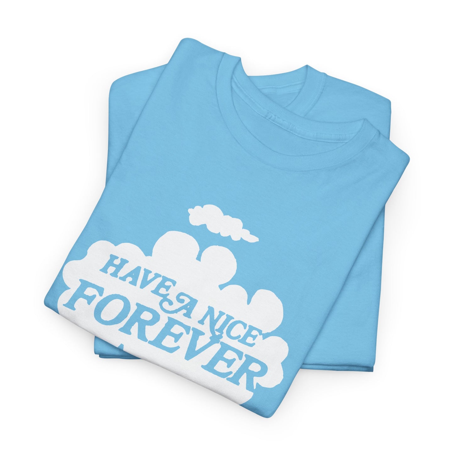 vintage 1980s have a nice forever graphic tshirt