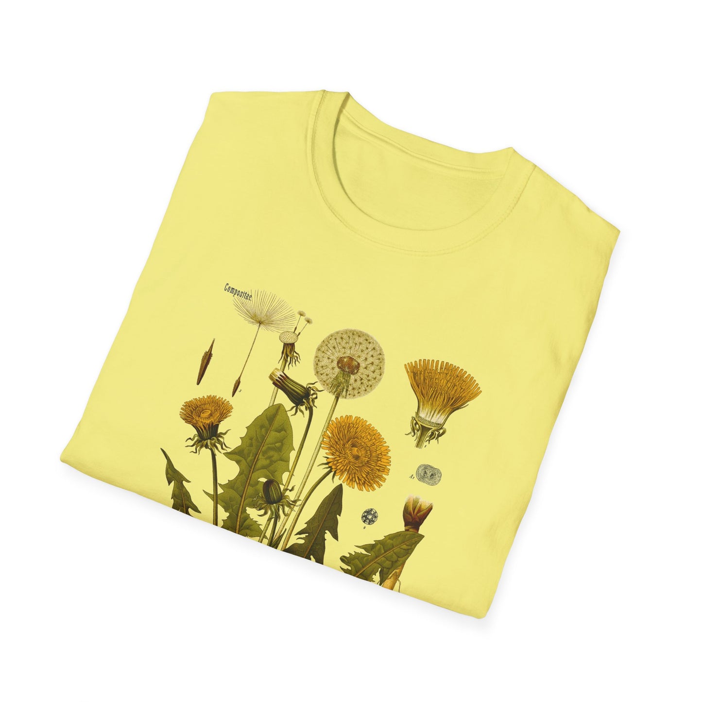 1887 botanical print from kohler's plants taraxacum officinale the common dandelion tshirt