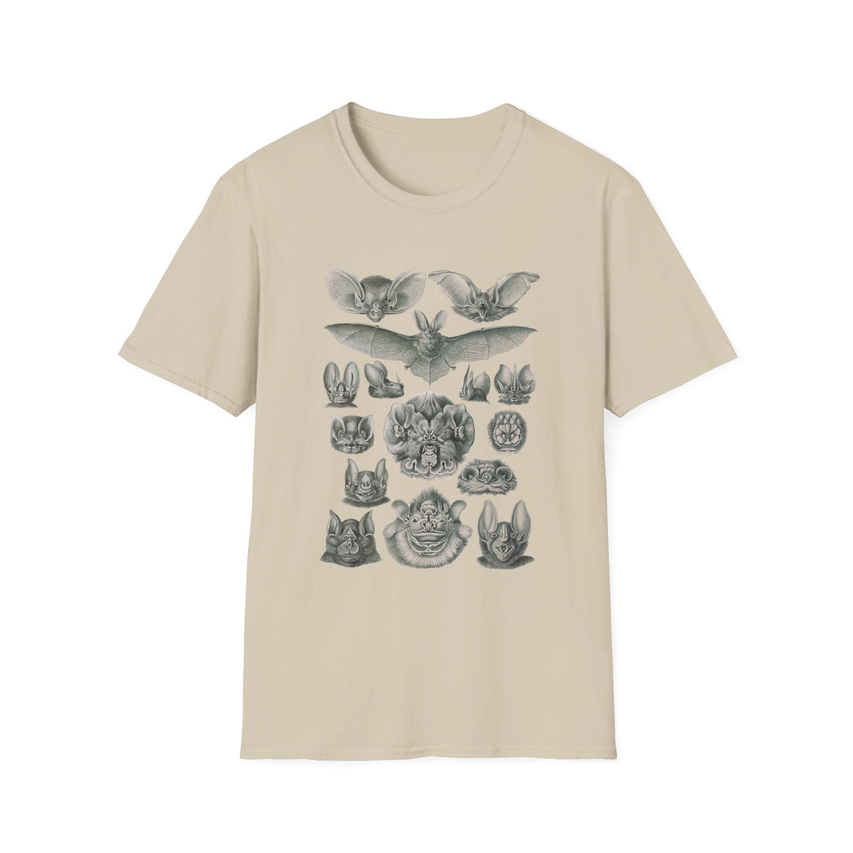 1904 chiroptera (fledertiere) bata print by adolf giltsch after sketch by ernst haeckel from art forms of nature tshirt