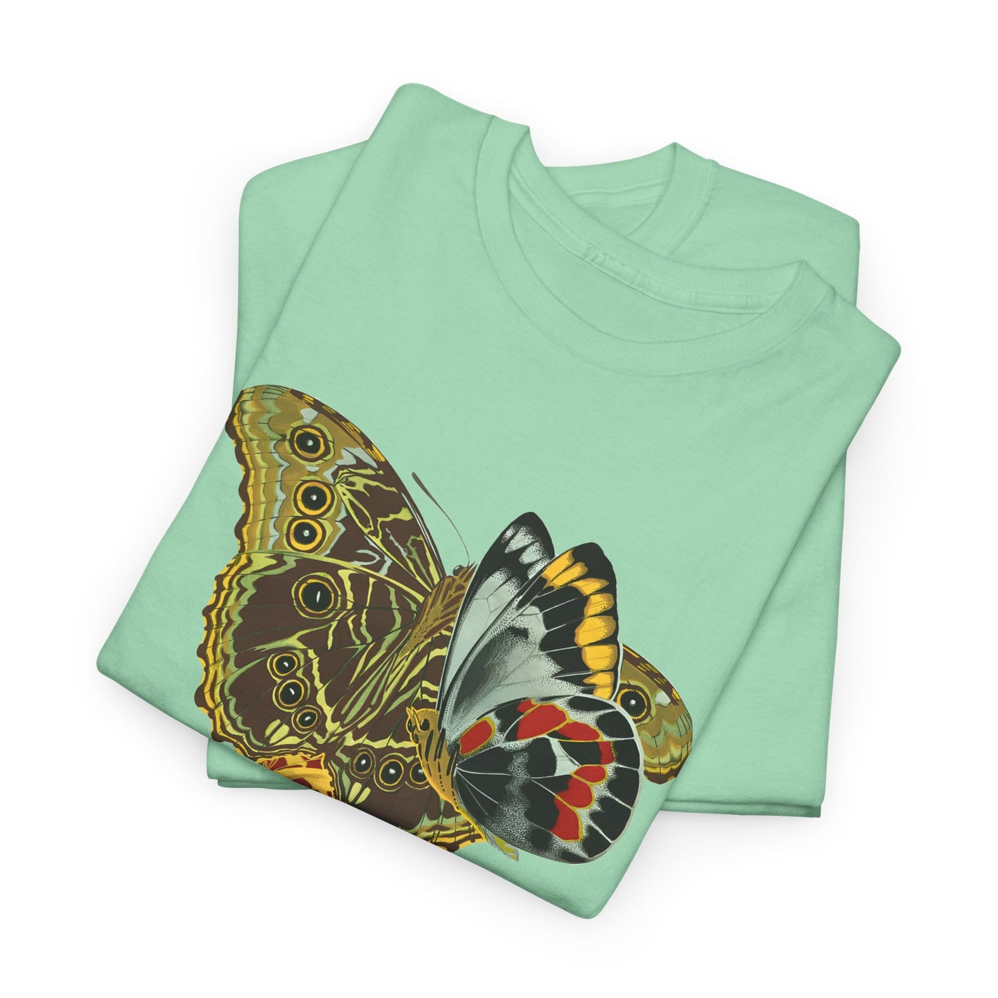 1925 papillons butterfly illustration by emile allain seguy tshirt