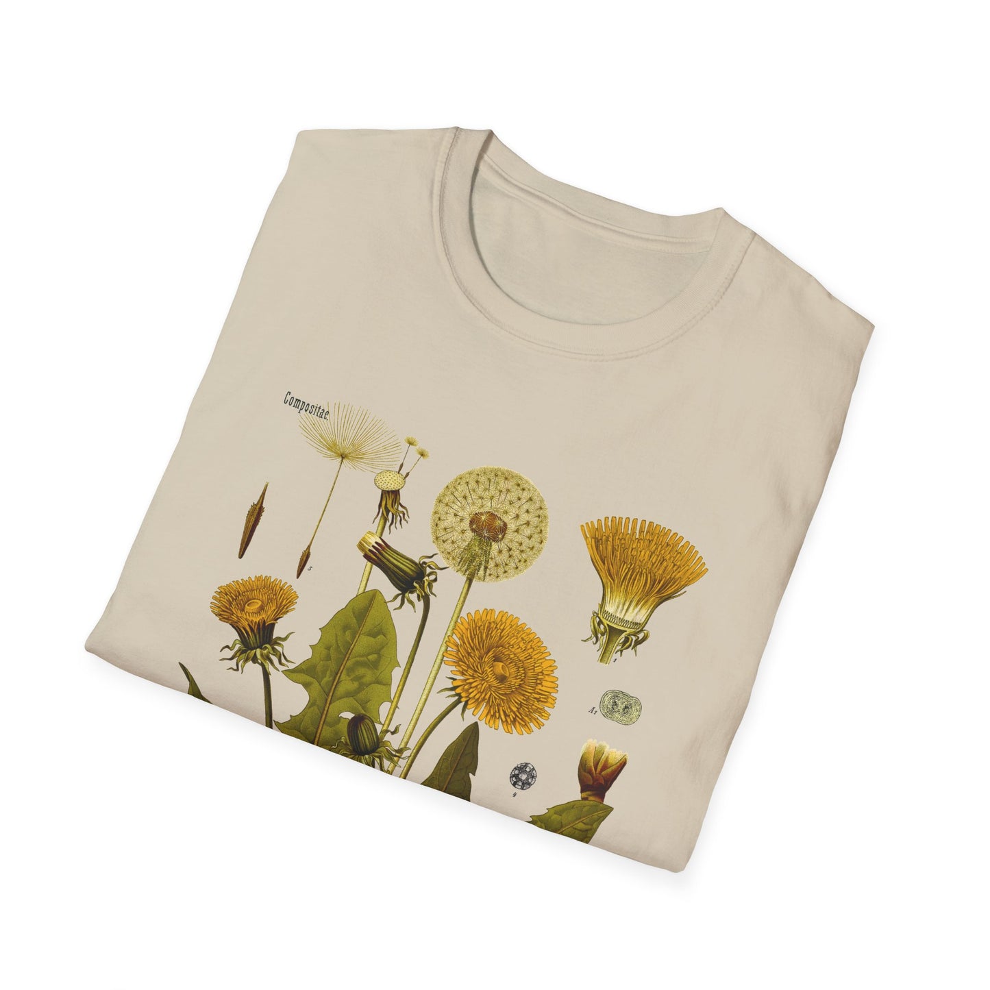 1887 botanical print from kohler's plants taraxacum officinale, the common dandelion tshirt