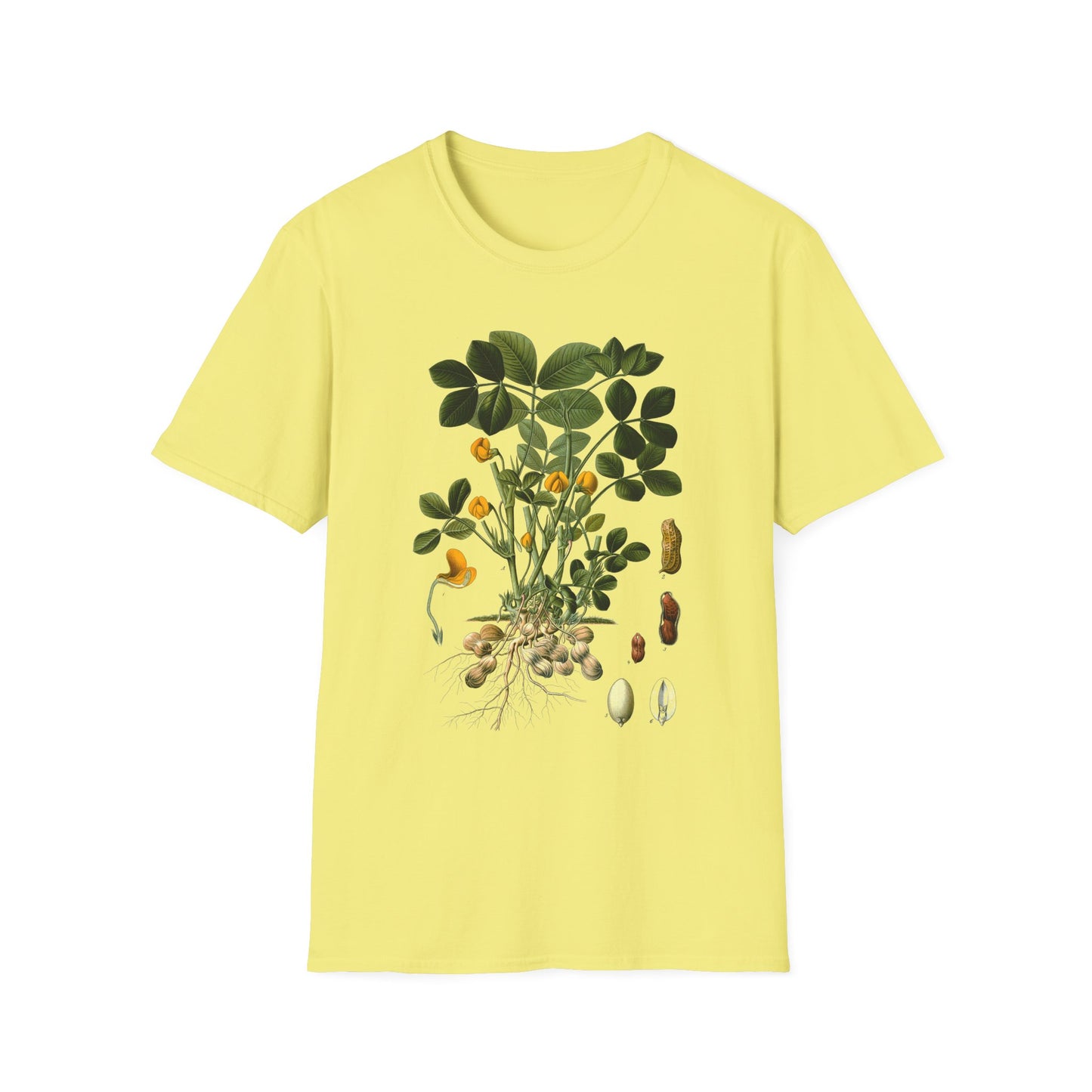 1887 peanut arachis (hypogaea) botanical print from kohler's plants by hermann adolph kohler tshirt