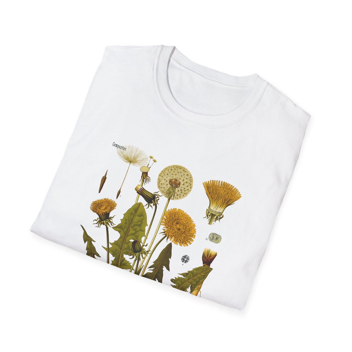 1887 botanical print from kohler's plants taraxacum officinale the common dandelion tshirt