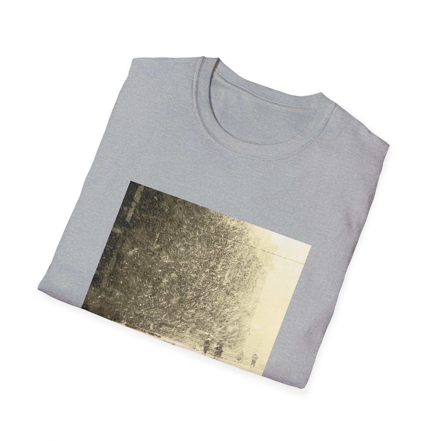 women 2010 public strain album tshirt