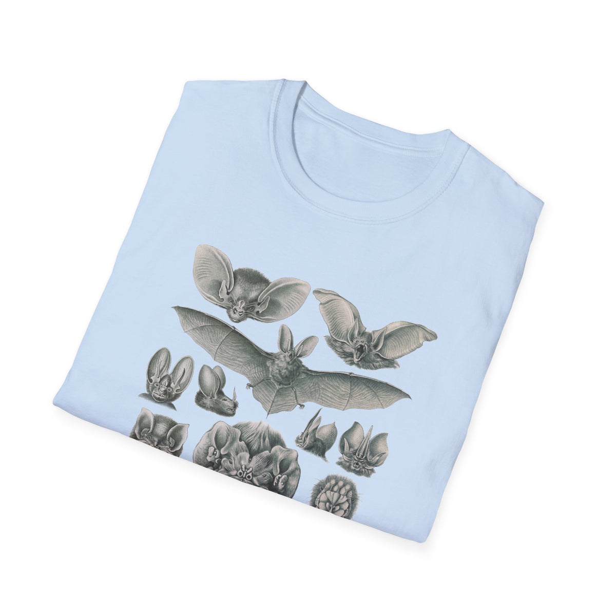 1904 chiroptera (fledertiere) bata print by adolf giltsch after sketch by ernst haeckel from art forms of nature tshirt