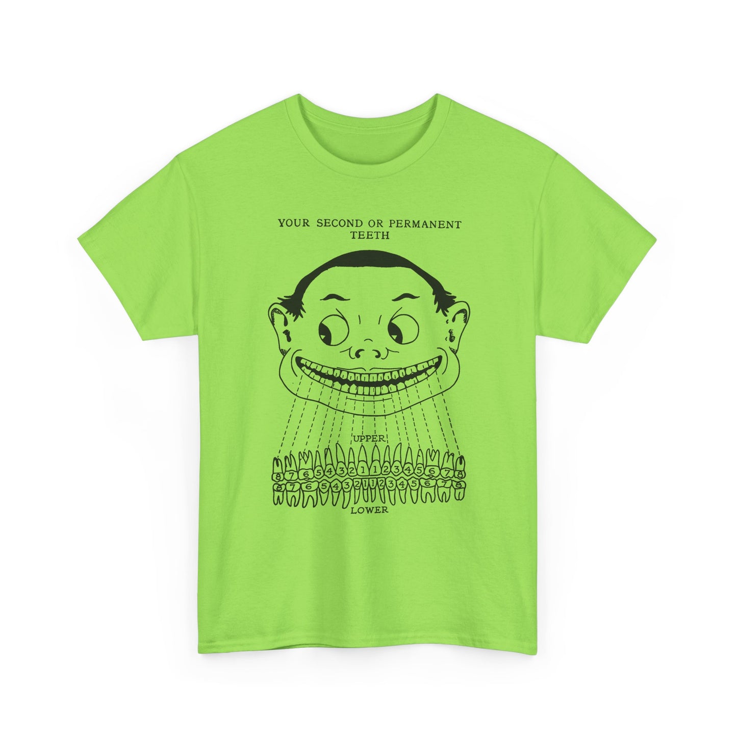 1918 illustration from child's book of teeth kid with teeth chart tshirt