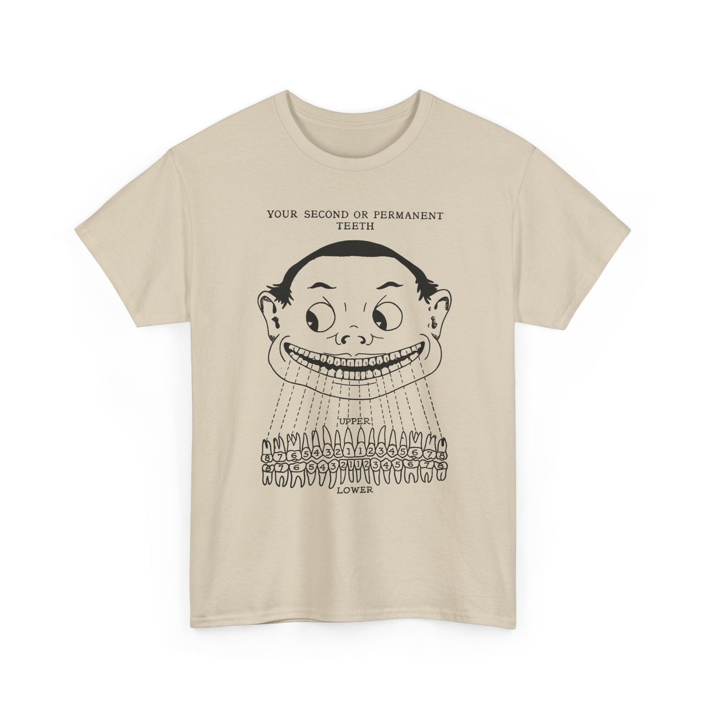1918 illustration from child's book of teeth kid with teeth chart tshirt