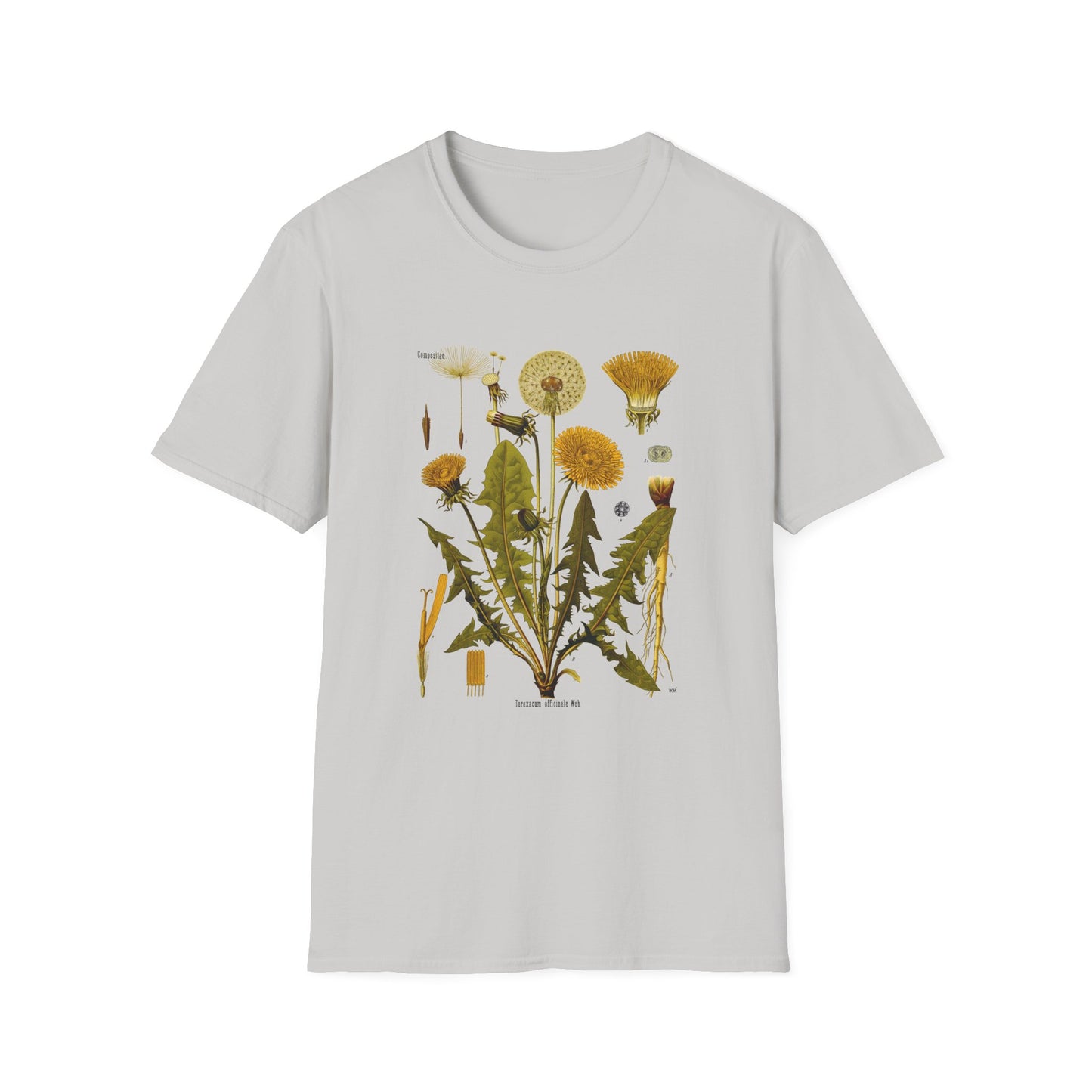 1887 botanical print from kohler's plants taraxacum officinale the common dandelion tshirt