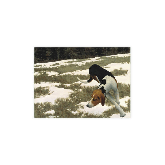 1958 painting hound in field by alex colville postcard reproduction