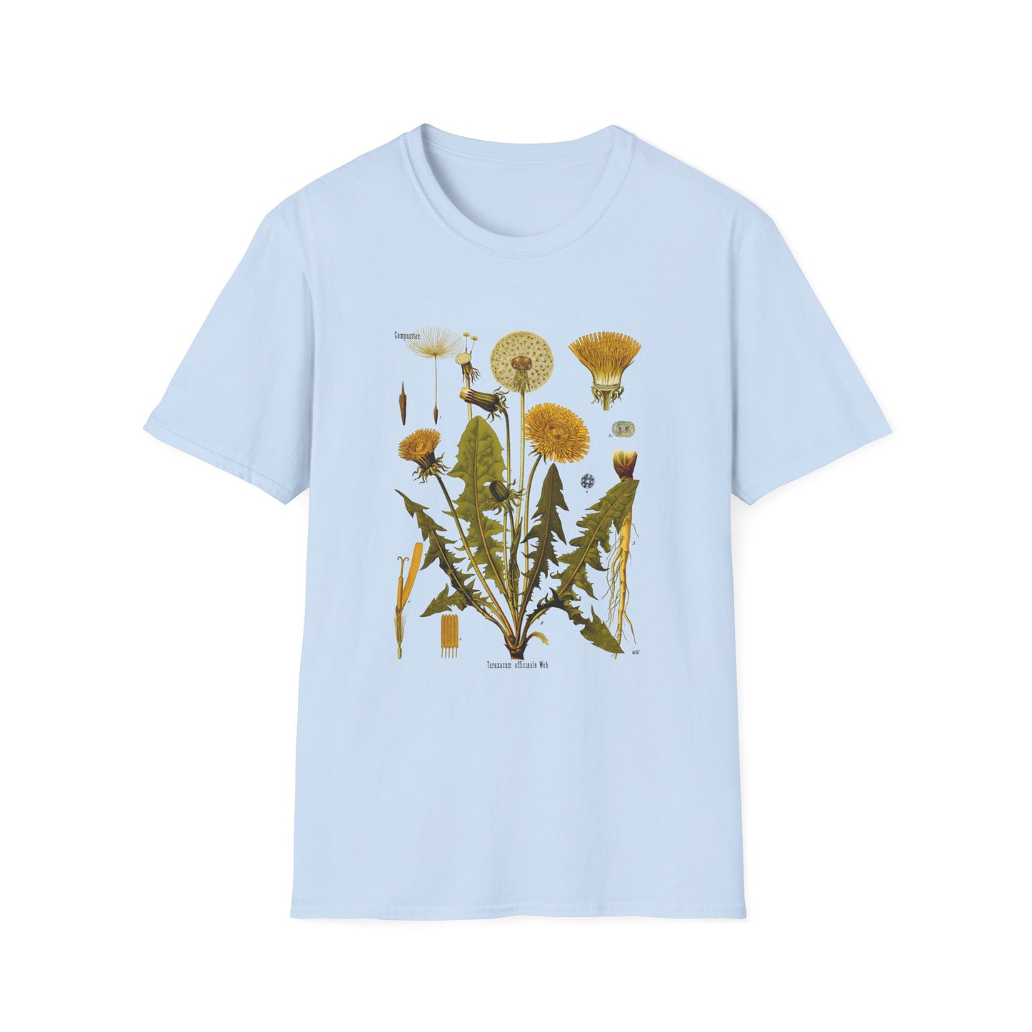 1887 botanical print from kohler's plants taraxacum officinale the common dandelion tshirt