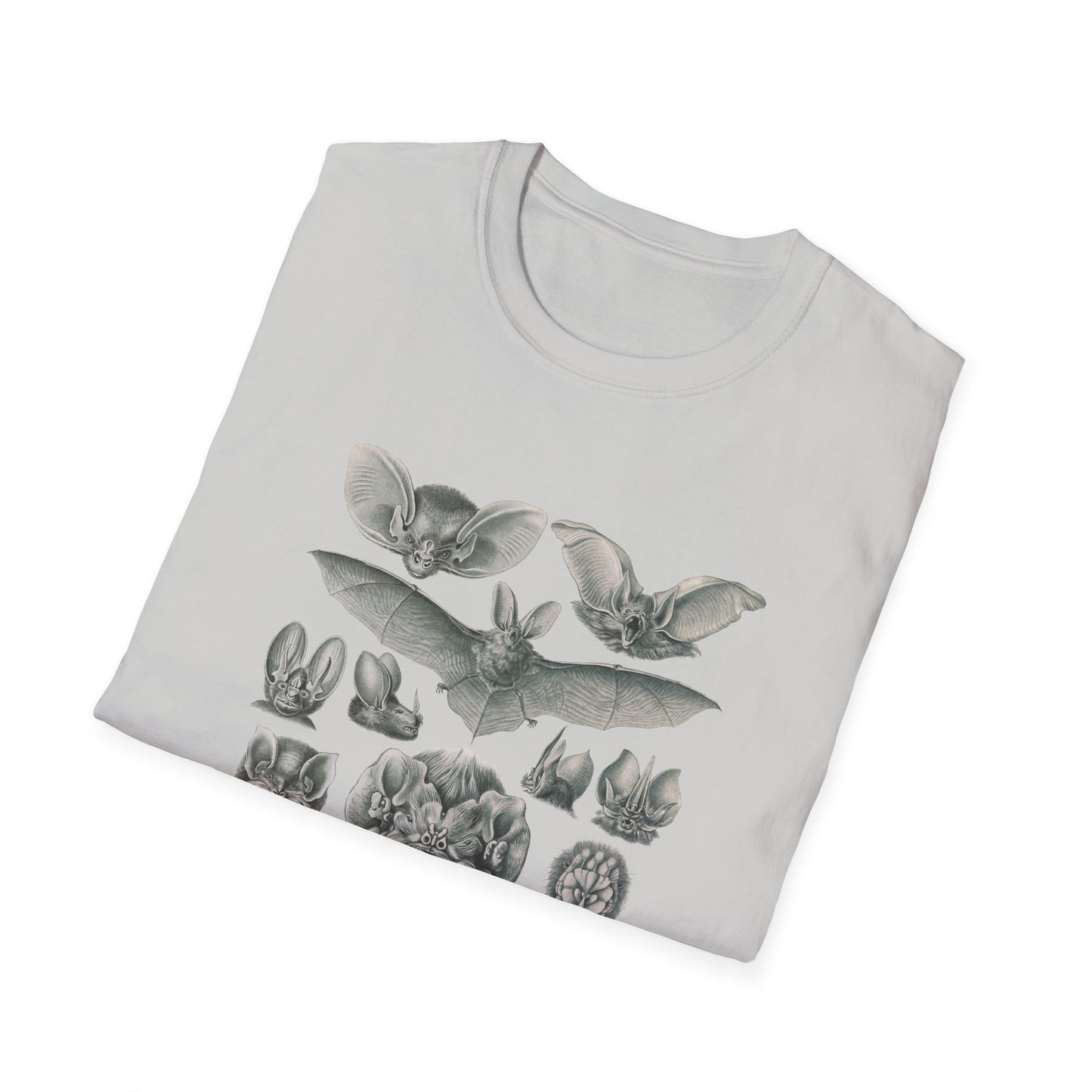 1904 chiroptera (fledertiere) bata print by adolf giltsch after sketch by ernst haeckel from art forms of nature tshirt