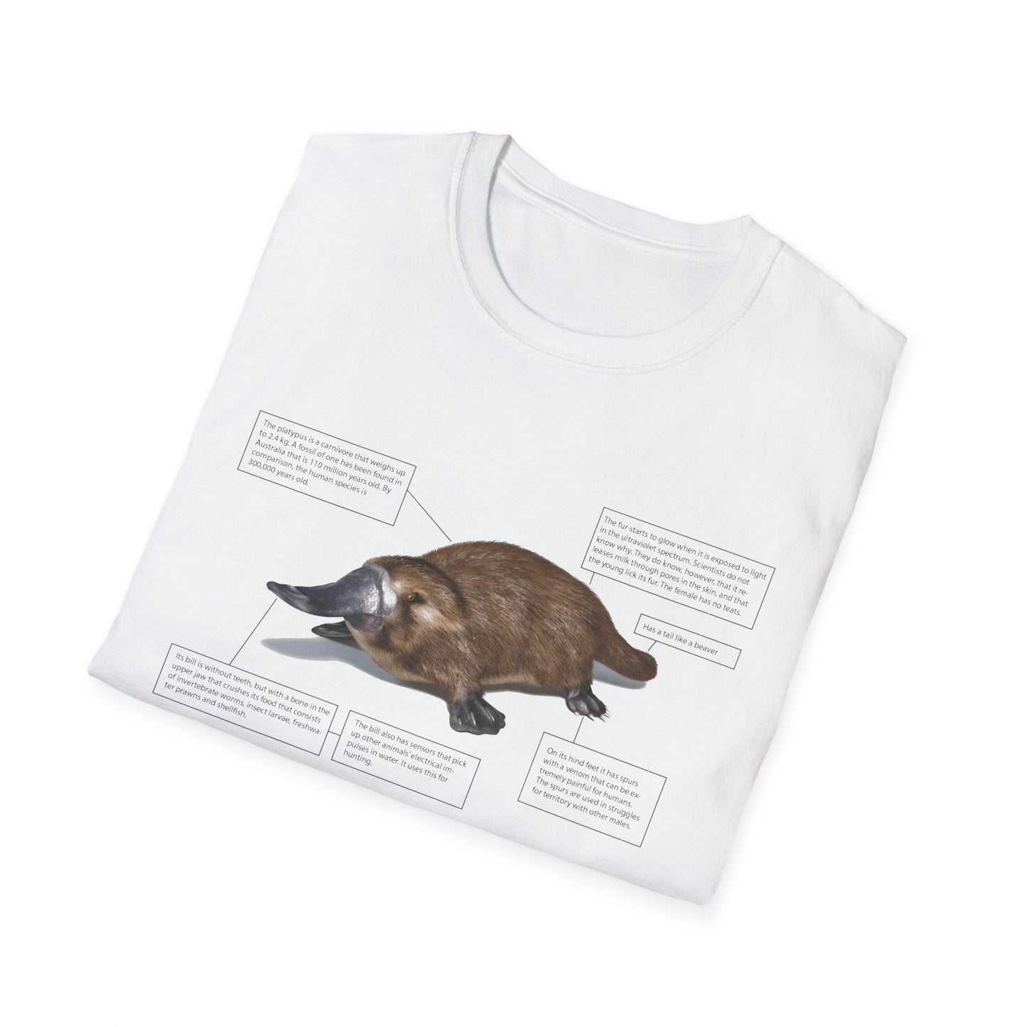 pleasant platypus facts tshirt