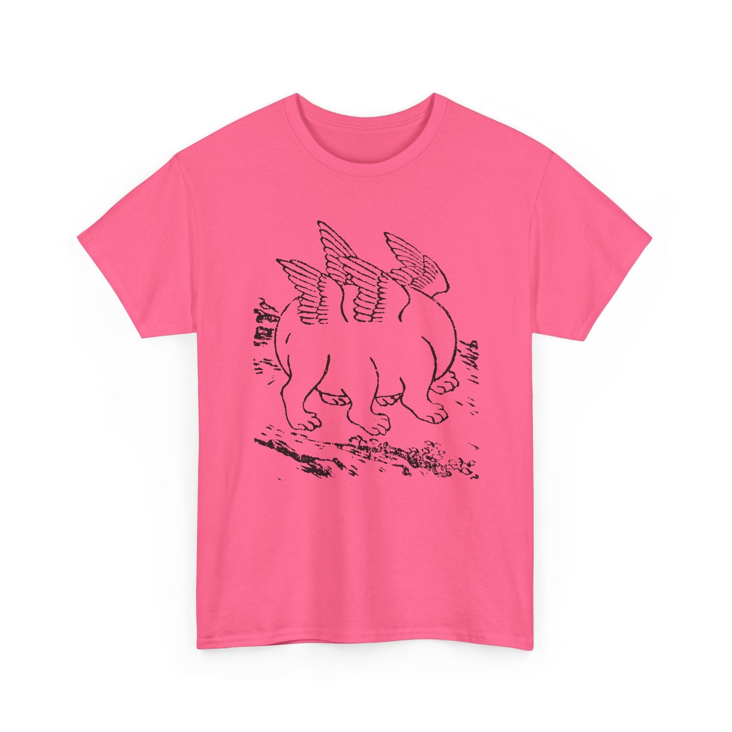 1897 primordial egg chinese emblem of the ten powers illustration tshirt