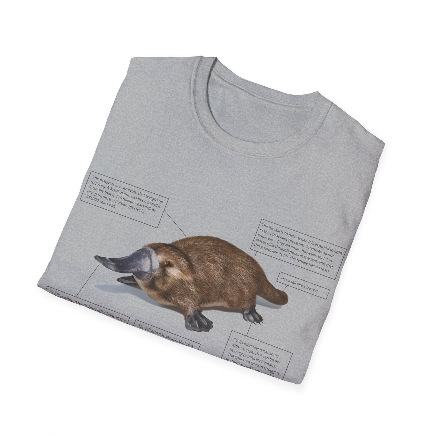 pleasant platypus facts tshirt