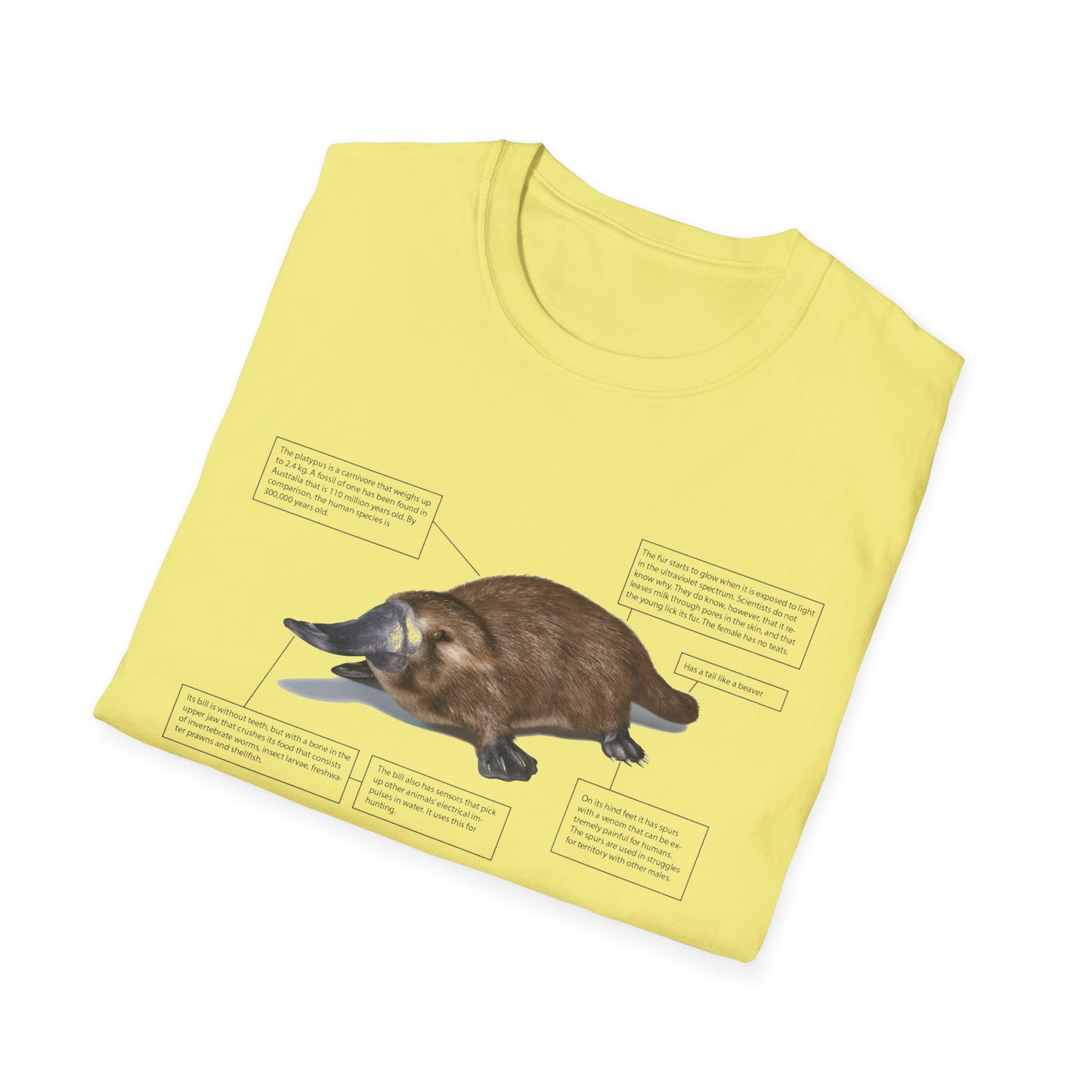 pleasant platypus facts tshirt