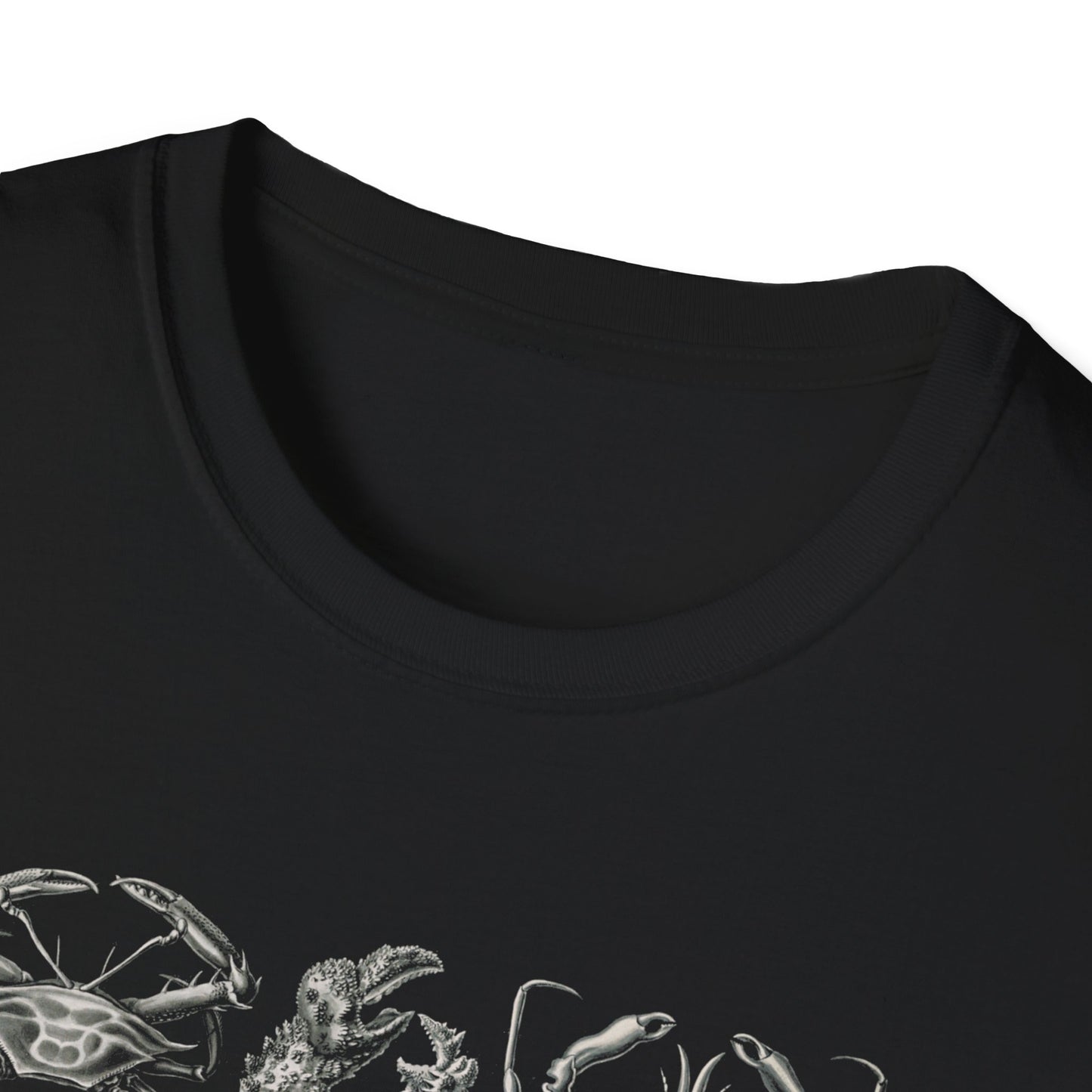 1904 crustacean (decapoda) lithograph by adolf giltsch after sketch by ernst haeckel from art forms of nature tshirt