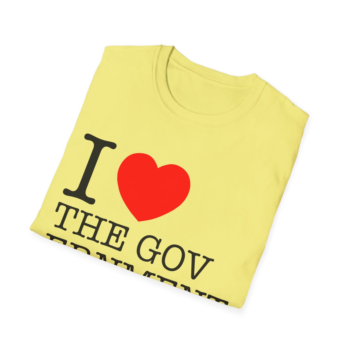 i heart the government tshirt