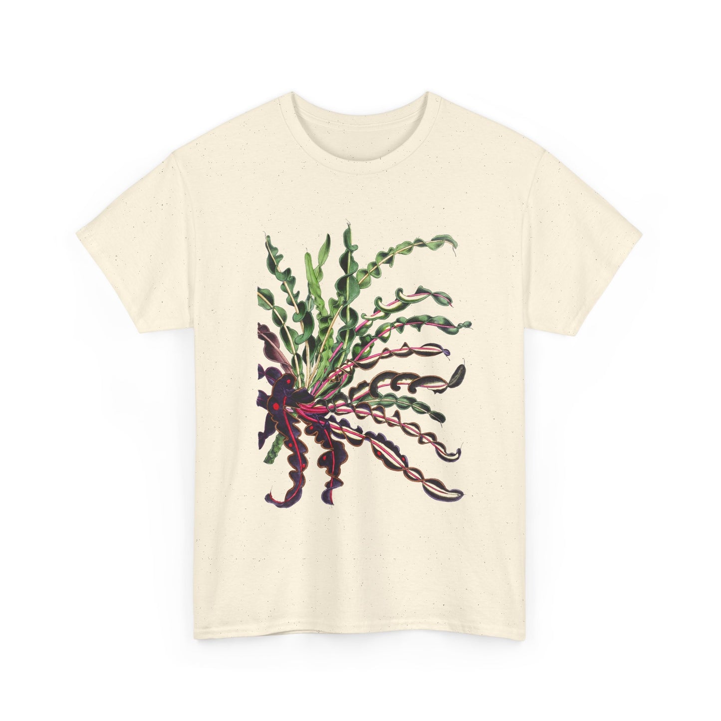 1874 vintage spiral croton codiaeum variegatum var spirale illustration reproduction tshirt