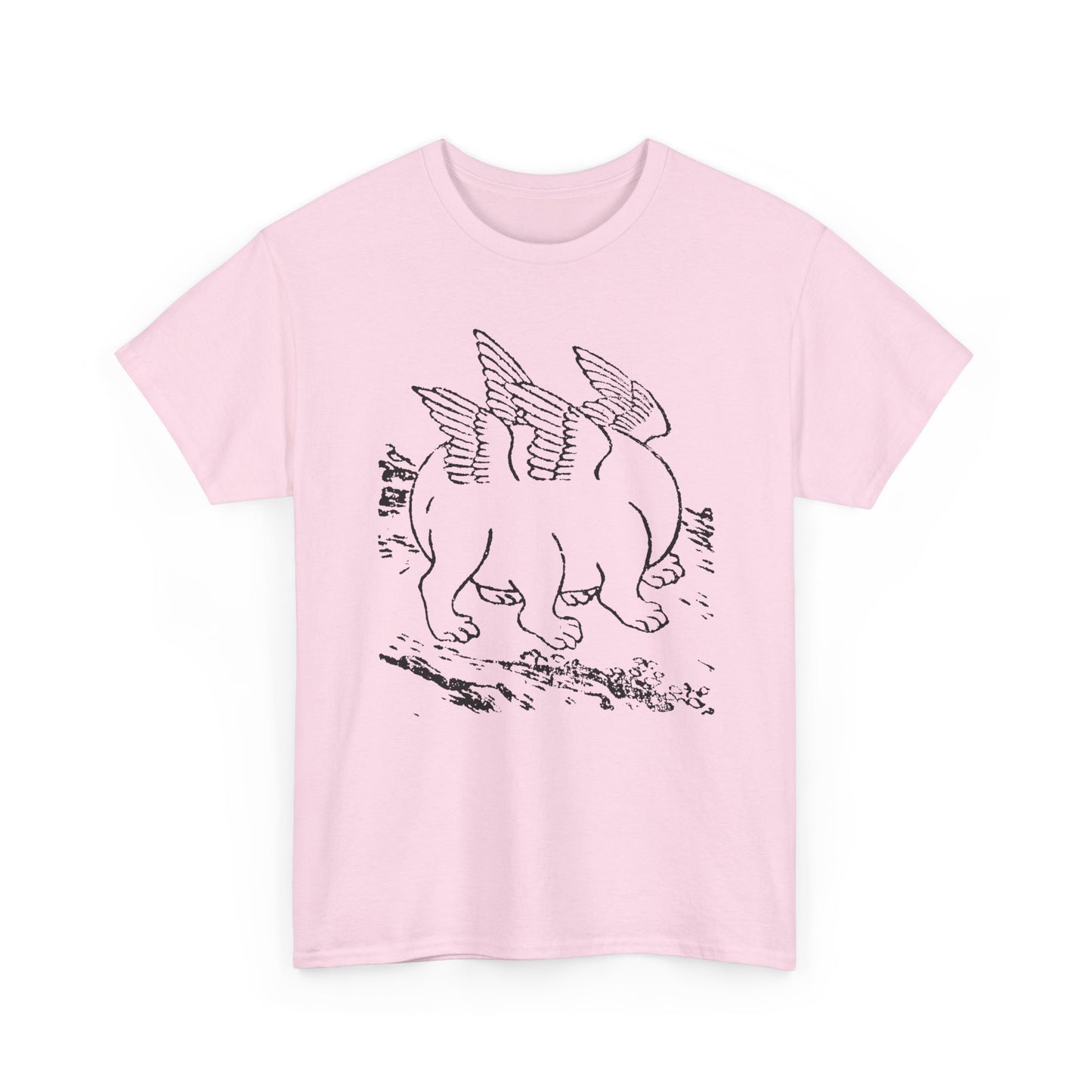 1897 primordial egg chinese emblem of the ten powers illustration tshirt
