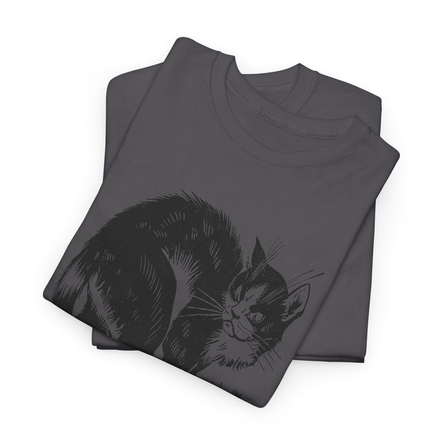 vintage french children's book illustration of angry cat and happy mouse reproduction tshirt