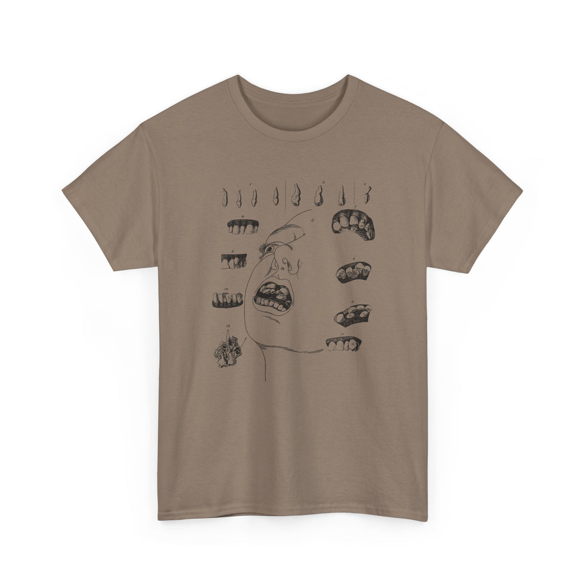 early 1800s disease of the human teeth dentistry illustration tshirt