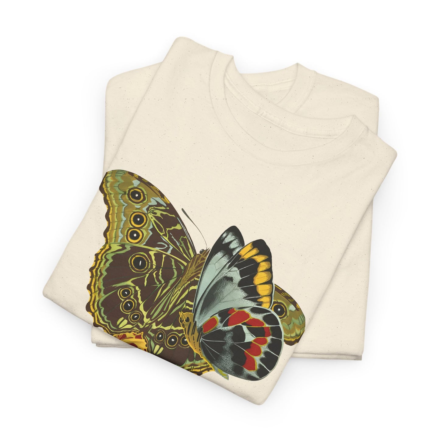 1925 papillons butterfly illustration by emile allain seguy tshirt