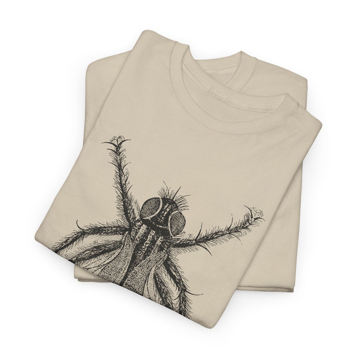 1889 fred's fly illustration from the boy travellers in australasia tshirt