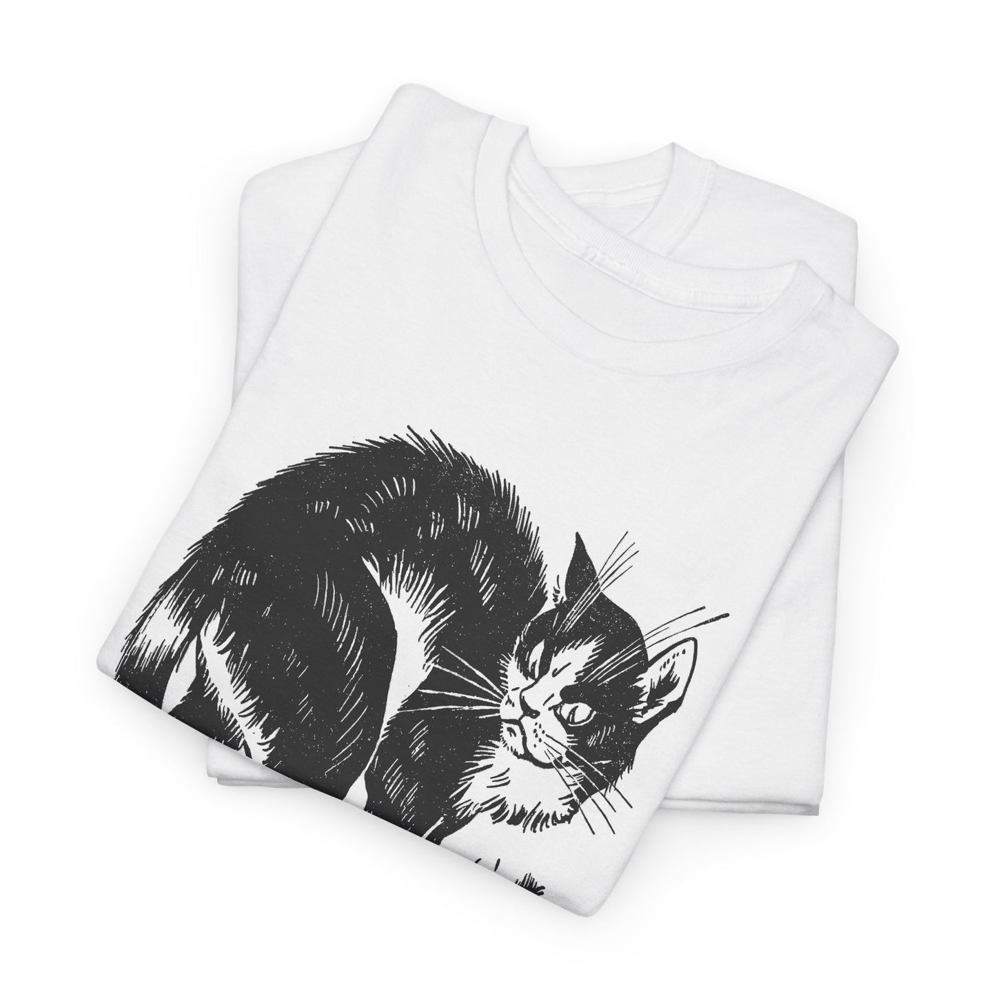 vintage french children's book illustration of angry cat and happy mouse reproduction tshirt