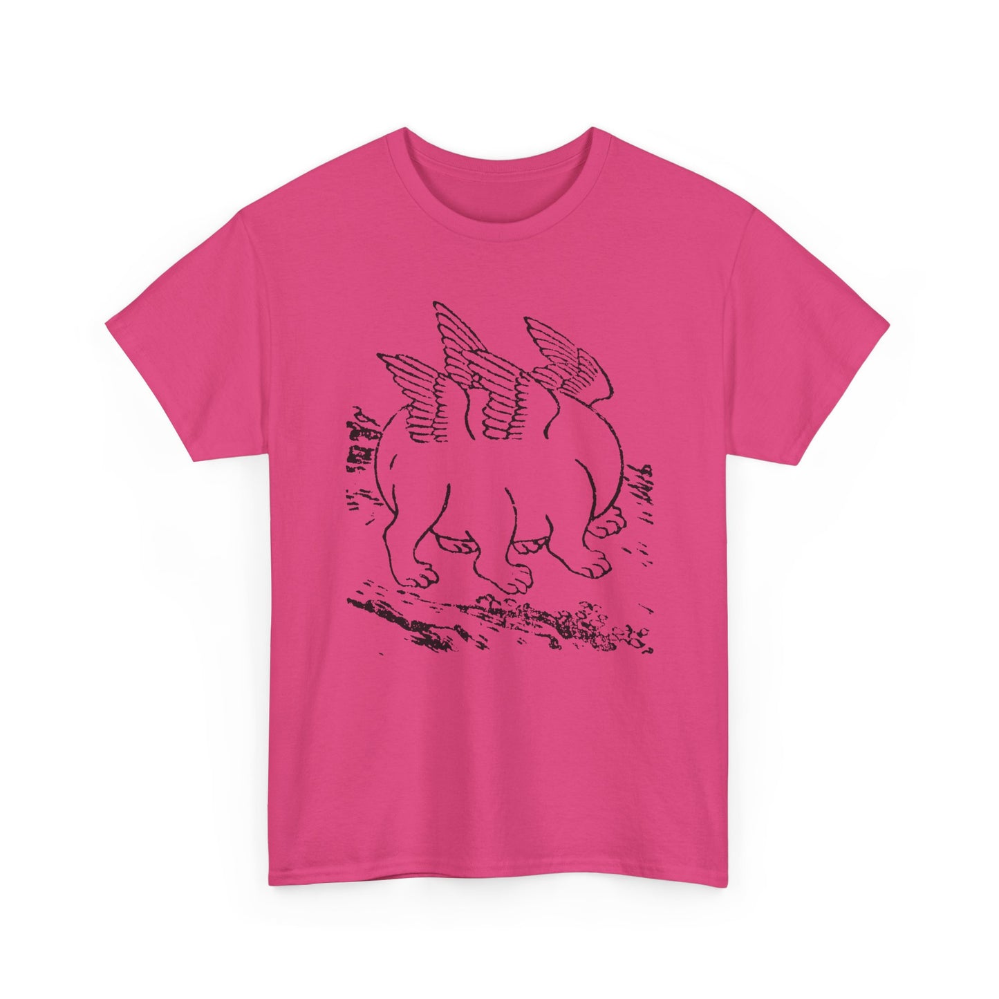 1897 primordial egg chinese emblem of the ten powers illustration tshirt